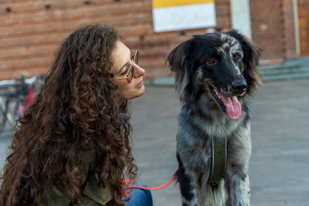 Mensch und Hund schauen sich aus nächster Nähe an